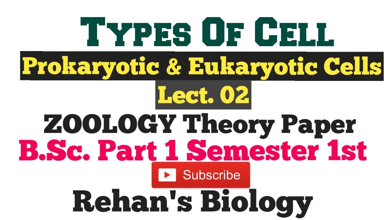 #Two types of cells prokaryotic & eukaryotic #Rehan's Biology #B.Sc.1  sem.1st Zoology Theory