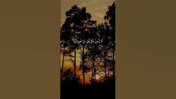 سورة الغاشية { ١ ــ ١٦ } #ياسر_الدوسري انشر تؤجر #القرآن