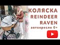 Reindeer Raven автокресло 0+ (Рендир Равен)