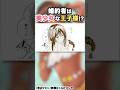 王子様が俺の妻に!?『サン王子は妻になりたい』#伊瀬茉莉也 #堀江瞬 #漫画
