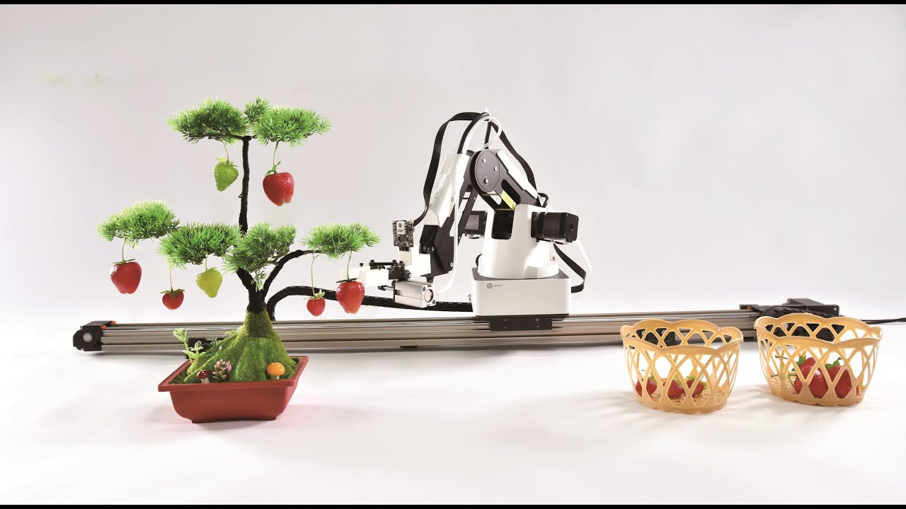 Fruit Picking Robot AI Application Demo With Dobot Magician YouTube fruit-picking-robot-ai-application-demo-with-dobot-magician-youtube