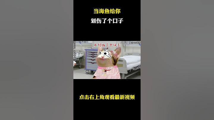 当你的手被海鱼划伤了个口子！ #cheems小剧场 #cheems #搞笑