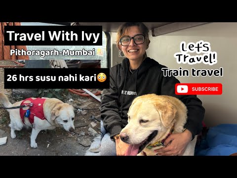 She did not pee for 26 hours 😹 | Pahad se Mumbai tak ka safar #vlog #labrador #solotravel