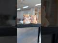 5년만에 폰바꿔서 아주 신이 난고야~