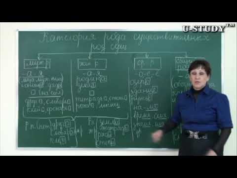 Подготовка к ЕНТ: Категория рода существительных по значению