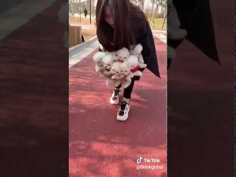 اصغر كلاب في العالم