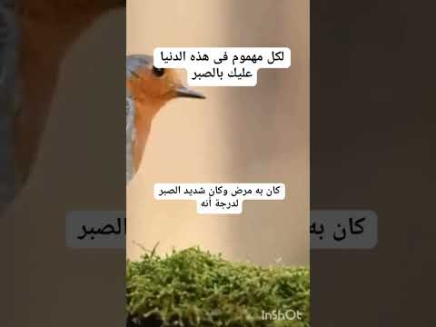 لكل مهموم فى هذه الدنيا عليك بالصبر