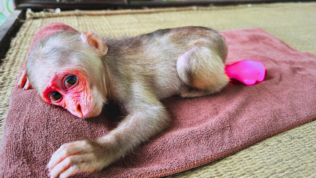 Глаза Каки вызывают беспокойство у пользователей сети, словно только что произошло!!!