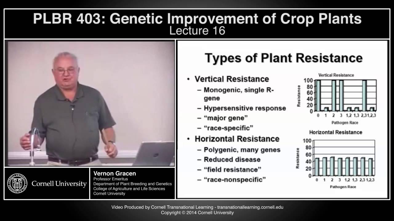 plbr403 - Genetic Improvement of Crop Plants - Lecture 16