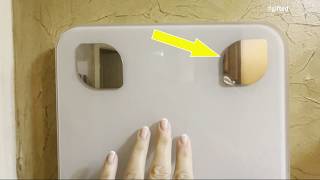 FondCircle Smart Scale Review | 16 Body Metrics, BMI & Body Fat Tracking Tested