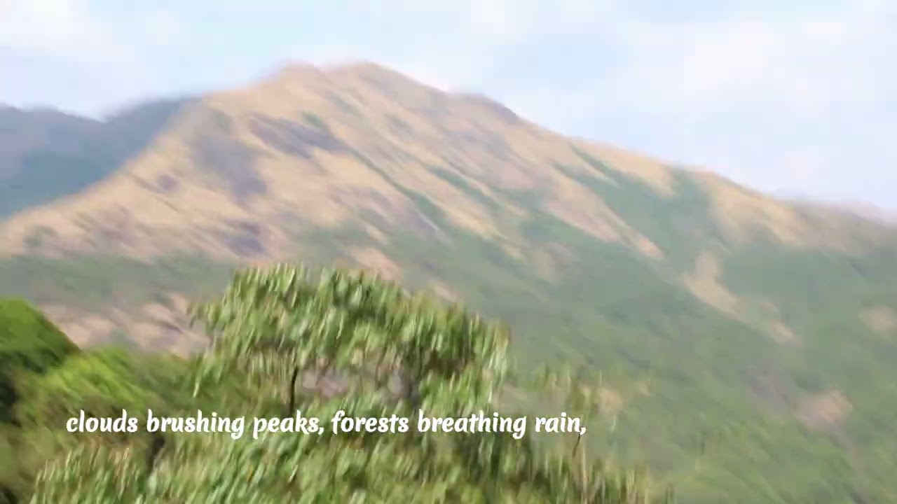 A Calm Train Journey Through the Western Ghats | Scenic Nature View