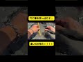 【1000万再生】穴に筆を入れるとヤバかった