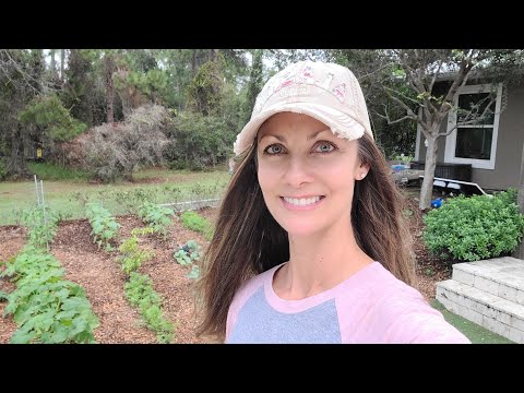 Como preparar seu jardim para uma tempestade