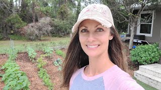 How to Protect your Garden from a Storm.