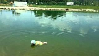 Kitty first swim  wags park.
