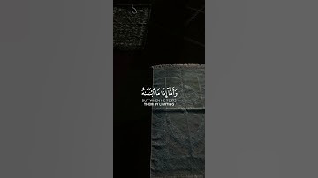 القارئ ماهر المعيقلي🌱| #سورة_الفجر #ماهر_المعيقلي #قرآن #قران_كريم