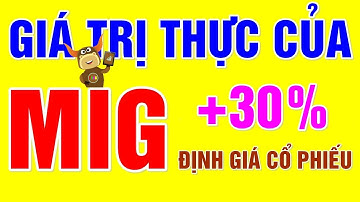 F186 - Định giá và Phân tích Cổ phiếu MIG | Thị trường Chứng khoán