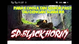 Suara Panggil Walet Black Horny By Korin Walet