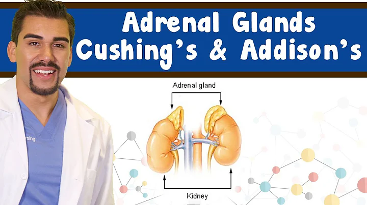 Adrenal glands: Cushing's and Addison's disease