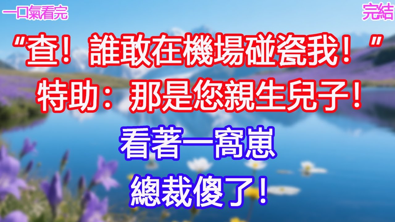 “查！誰敢在機場碰瓷我！”特助：那是您親生兒子！看著一窩崽總裁傻了！ #甜寵文 #愛情 #爽文 #故事分享