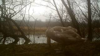 Highlights from Otter Camera