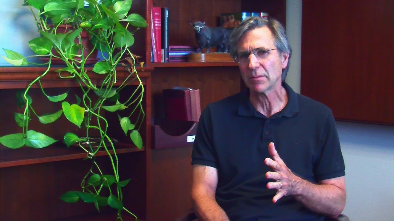 camera iphone 8 plus apk Dr. Flanders introduces Phil Zeltzman, DVM, DACVS, CVJ