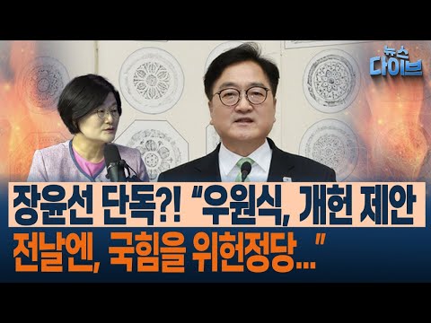“개헌은 국힘의 내란 동조 출구전략이다” 개헌 논의 속 악마의 디테일 (고현준, 장윤선, <strong>박성민</strong>, 최혜정)ㅣ 뉴스 다이브 0407 클립2