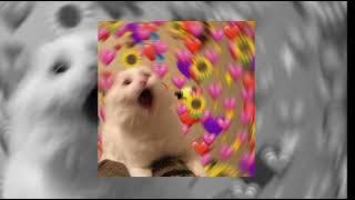 Utopia - Hujan -speedup-