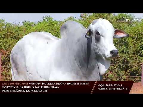 LOTE 108   EPCF 6668