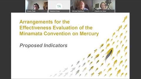 Minamata Online #2: Effectiveness Evaluation Indicators (17 September 2020)