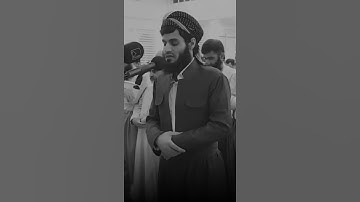 قرآن الكريم بصوت رعد محمد الكردي اجمل حالات واتس اب دينية سورة النازعات فيديو قصيره 🤍🌿