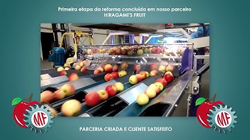Classificador Eletrônico para maçã