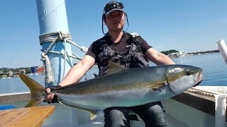 -물곰Tv -Big Game 시즌  jigging.yellow tail.king fish.fishing screenshot 4