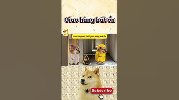 Shipper giao hàng bất ổn | Cheems nhạt nhẽo  #cheems #haihuoc #funny