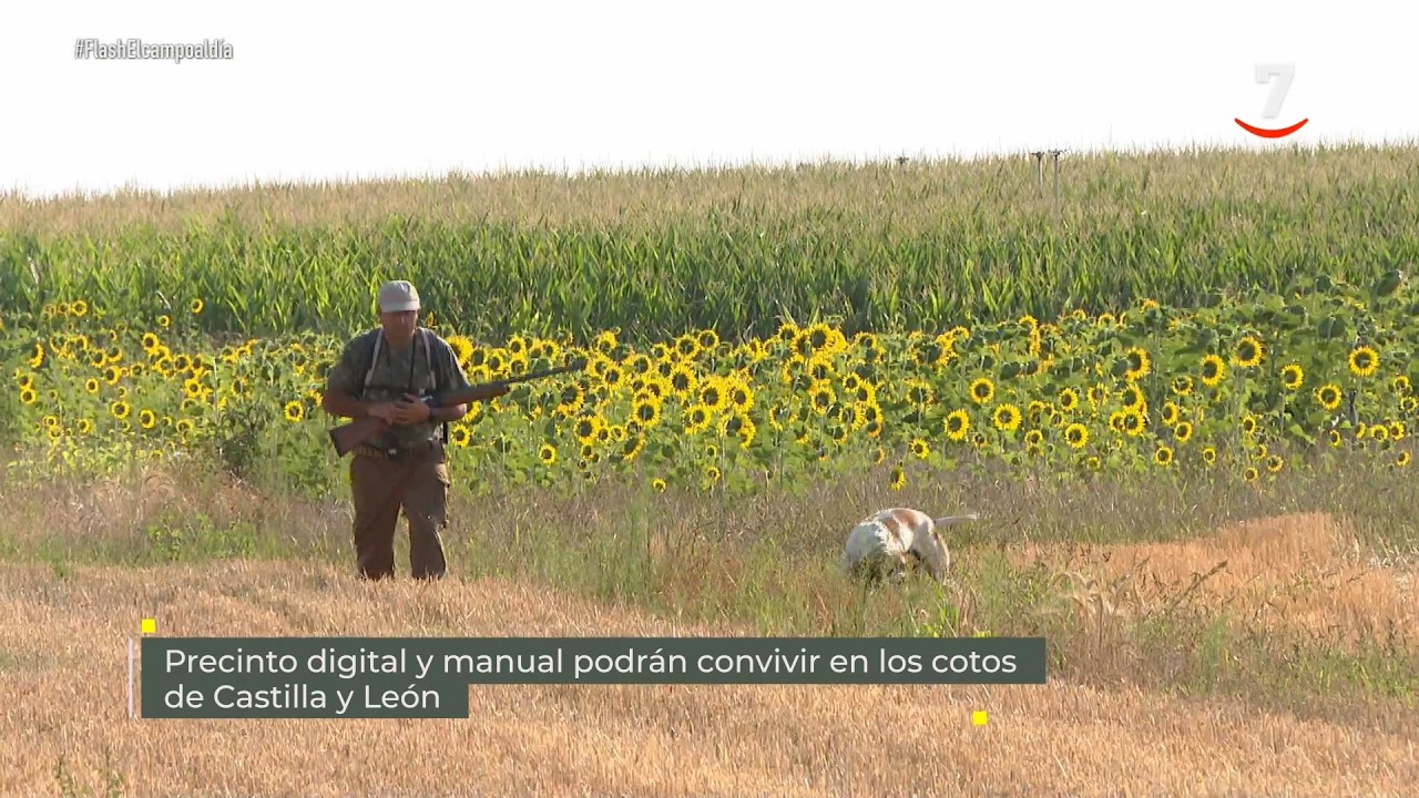 Flash El campo al día (09/07/2026): Precinto digital y manual podrán convivir en los cotos de CyL
