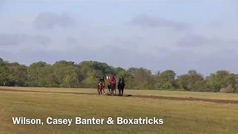 Newmarket Gallops 27th April 2019 - Julia Feilden ...