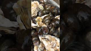 Oyster cleaning machine for multiple purposes Clean in place without residues#生蚝清洗机