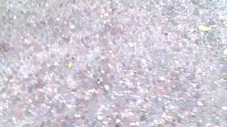 VID00089.AVI