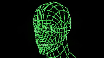 VJ Loop video. 3d grid human head. Head of the person from a 3d Grid. Human head wire 3D animation.