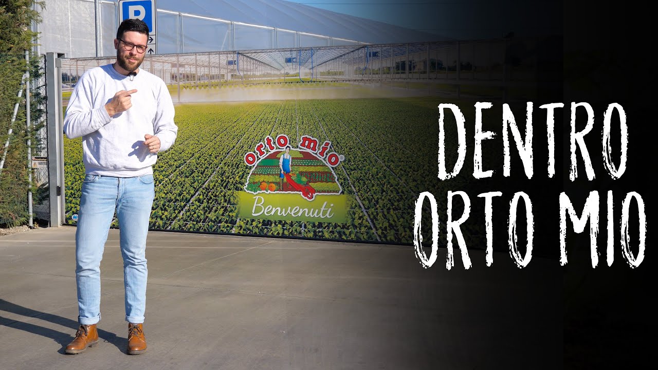 Avete mai visto 14.000 piantine di POMODORO? Visita a ORTO MIO