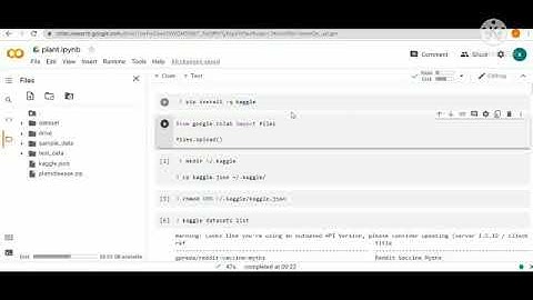 Plant species identification and disease diagnosis using deep learning