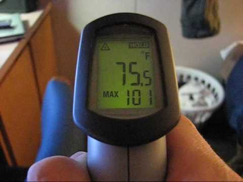 6 Best Thermometers & Hygrometers for Bearded Dragons that Vets Love