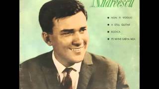 Video thumbnail of "Aurelian Andreescu - Rodica (1964)"