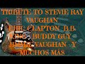 Stevie ray vaughan tribute full dvd  clapton  bbking  jimmie vaughan and more