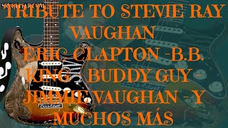 STEVIE RAY VAUGHAN TRIBUTE FULL DVD - CLAPTON - B.B.KING - JIMMIE VAUGHAN AND MORE