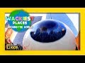 Exploring Wacky Sculptures and Art