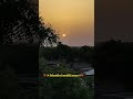 suscribe kar diya karo ✨❤️❤️✨#viral #trending #nature