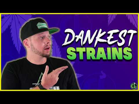 The Terpiest Lineup I’ve Ever Run? Breaking Down My Next Strains!