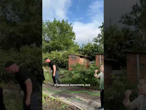 Роза превратилась в