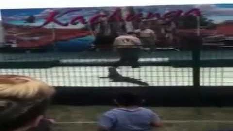 Alligator Attacks Trainer at Cuyahoga County Fair 2012